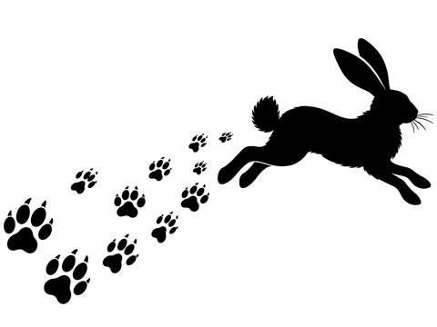 Rabbit silhouette running with footprints on a white background simple vector illustration