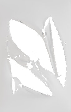 shredded and bent fabric material, transparent background
