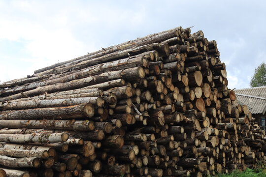 stack of firewood