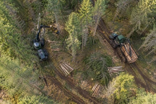 Forestry Machinery Working Among Stacked Logs