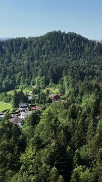 Vertical landscape. Landscape of a dense coniferous forest and majestic mountains on the horizon. Vertical landscape with wildlife, coniferous trees and rocks in the distance. Travel and ecotourism