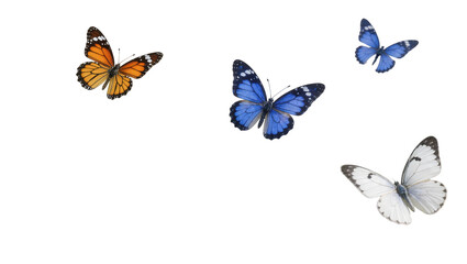 Collection of monarch blue and white butterflies flying, isolated on transparent background © yourstocki