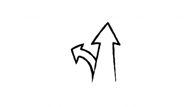 Animated doodle icon of parallel arrows curving and branching upward for growth.