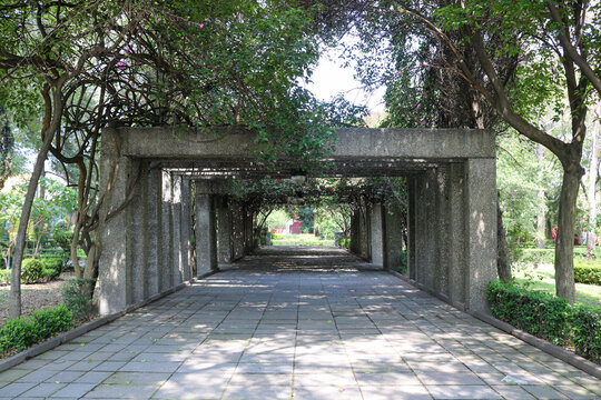 Geometric Concrete Walkway Through a Lush Garden