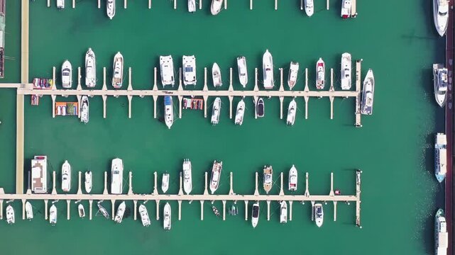 Aerial Top-Down View of Many White Boats and Yachts Docked at a Marina with Green Water