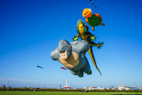 Norddeich, East Frisia, Germany. September 25, 2026. Kite meadow in Norddeich on a sunny  autumn afternoon with flying kites