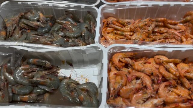 Raw shrimp fill white market trays, with gray uncooked prawns beside orange shrimp. Seafood is arranged for sale in fresh fish counter display, highlighting varied shellfish colors and sizes.
