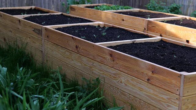 Freshly filled raised garden beds form orderly backyard vegetable garden. Wooden planter boxes contain dark soil, while surrounding grass and simple fence frame this practical growing space.