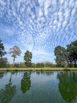 Mackerel sky with altocumulus clouds reflected in a tranquil canal lined with trees in the Belgian countryside