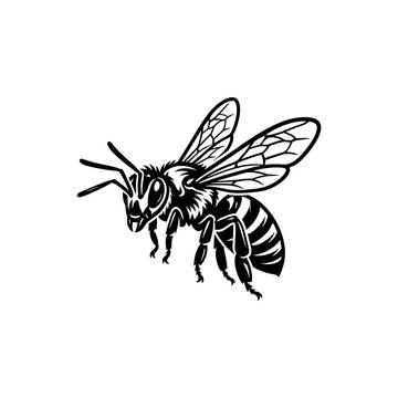 Black and white line art illustration of a bee with detailed wings and body