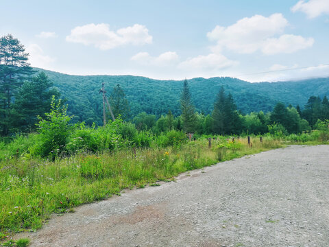 Summer dirt road and green Carpathians mountains near Slavske, Ukraine