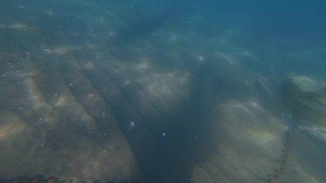 Underwater view of buoy and chain anchored to the seabed