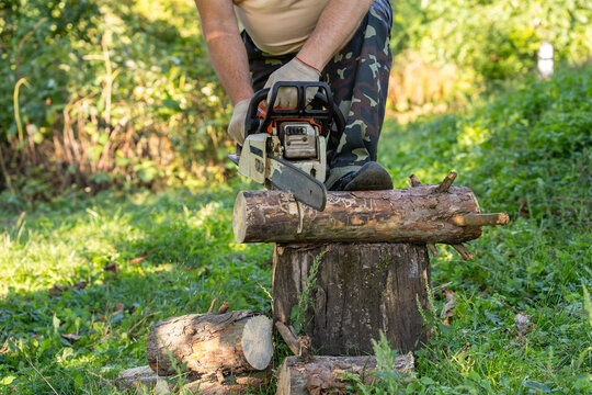Woodcutter saws thick branch on stump in sunlit woodland, gripping chainsaw with gloved hands. Worker cuts firewood among grass and scattered logs in focused outdoor task, trimming branch into timber.