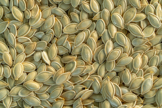 Pumpkin seeds fill frame in dense, still layer. Pale husks overlap in varied directions, forming textured close up food background with muted cream and green tones, each kernel touching its neighbors.