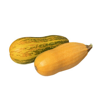 Two yellow and green zucchinis isolated on a transparent background.