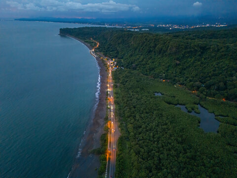 Coastal highway lights illuminating beach and dense forest at dusk