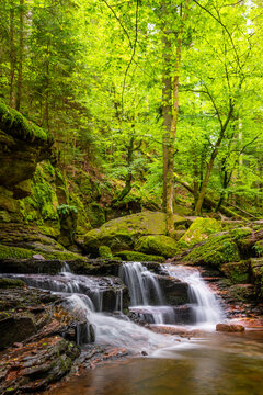 Small cascading waterfall flowing over moss-covered rocks in the lush green Monbach Valley in the Black Forest, Baden-W&uuml;rttemberg, Germany.