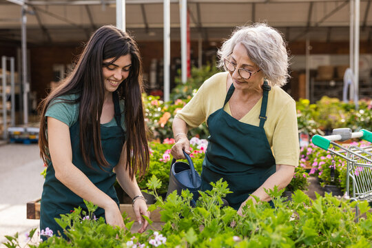 Women gardeners working with plants at nursery