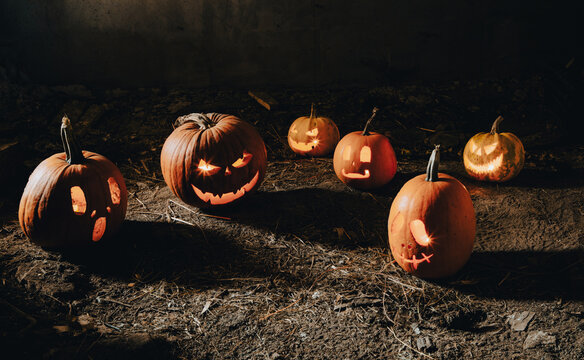 spooky Halloween background with jack'o'lanterns in the night

