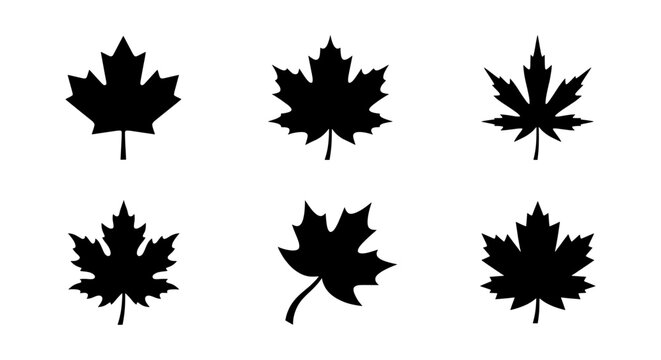 Six stylized maple leaf silhouettes represent Canadian national identity and nature.