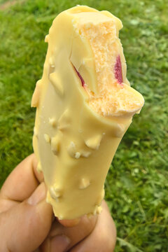 Delightful ice cream treat enjoyed on a sunny day in a lush green park