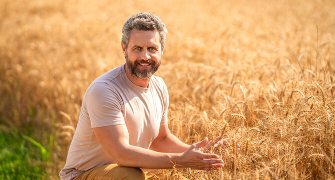 Agriculture farm. Farm man at wheat field. Crop harvest and farming. Farmer in field. Mature man farmer check agriculture field harvest. Man agronomist farmer. Soil conservation
