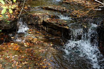 Clear stream water cascades over rocky ledges strewn with fallen autumn leaves in a forest in Ottawa, Ontario, Canada © Gregory