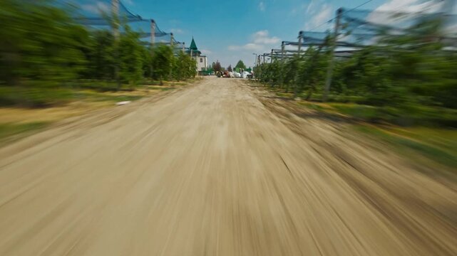 FPV aerial view of vineyard path with protective netting in Vojvodina, Serbia.