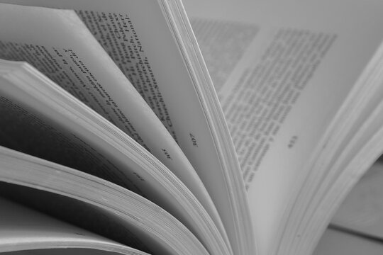 Libro en blanco y negro