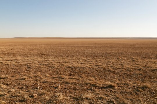 Vast barren grassland under a clear sky