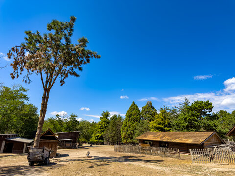 Farm landscape with trees and buildings. A rural scene shows a clear sky over a farm with wooden buildings and trees. Animals roam the open area.