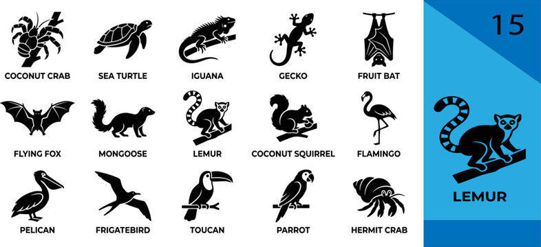 Black island silhouette icons coconut crab turtle iguana gecko bat fox mongoose lemur flamingo pelican frigatebird toucan parrot hermit crab