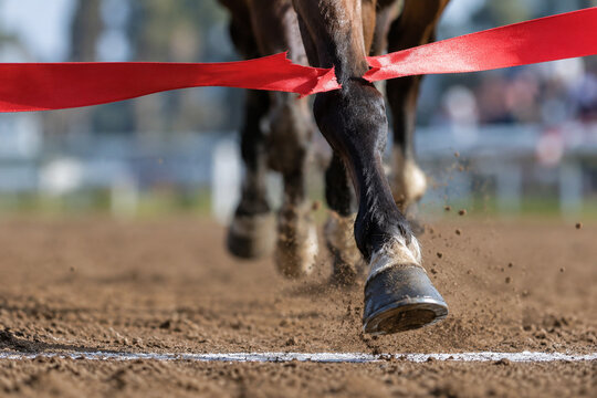 A red finish line ribbon being broken by a horse's hoof crossing the white line.