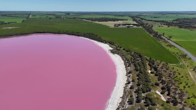 Aerial drone view of Pink Lake in Dimboola, Victoria, Australia, with pink water bordered by white salt crust shores, native scrubland and green cropping paddocks. A natural geological phenomenon.