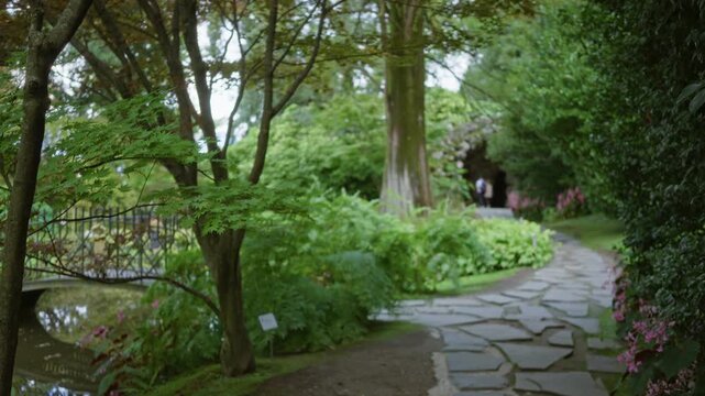 Garden path with stone paving, trees and pond in soft bokeh and defocused blur, tranquil garden scene; background backplate copyspace calm.