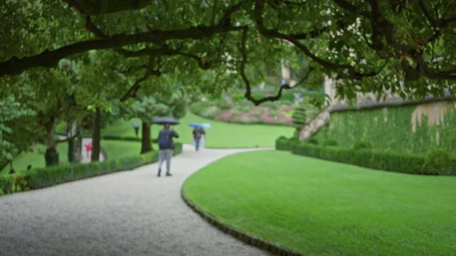 Defocused lake como pathway with shallow bokeh and soft treetop canopy garden; background backplate copyspace calm.