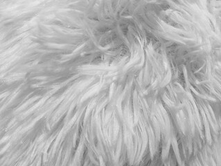A detailed full frame macro texture of a soft fluffy white faux fur or shaggy fleece blanket fabric showcasing dense long tangled synthetic fibers © Oksana