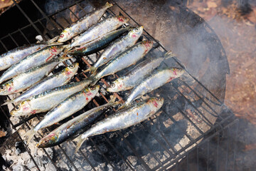 Fresh sardines arranged on a charcoal grill over glowing charcoal, ready for grilling. The silver-blue fish display their natural scales and distinctive features, with crushed charcoal visible beneath © Pedro