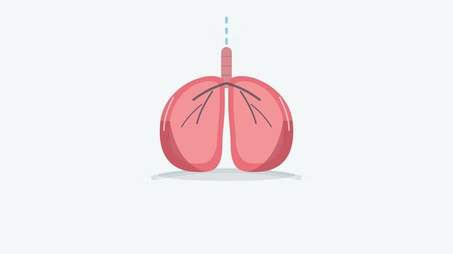 Animated Vector Illustration of Human Lungs Breathing with Trachea and Air Flow Indicator