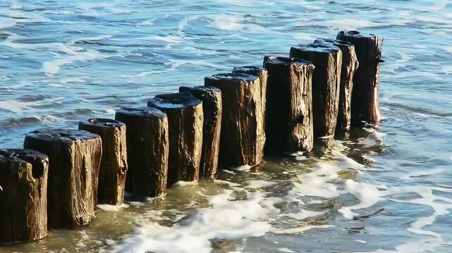Wooden poles of groyne, breakwater to avoid beach erosion along Baltic Sea coast at Ystad, Scania, Sweden, Scandinavia
