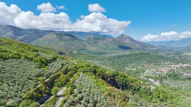 Olive groves, farms and fields over Road E45 from a drone, Polla, Salerno, Campania, Italy
