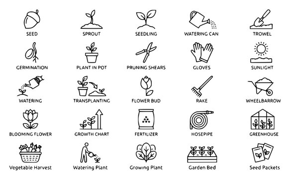 Grid of minimalist linear vector icons depicting stages set with simple line art design featuring line art, illustrations, graphic resources with vector and design elements