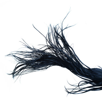 Long straight Wig hair style fly wind blow explosion. Black woman wig wave hair float in mid air. Straight black curl wig hair wind blow cloud throw. White background isolated