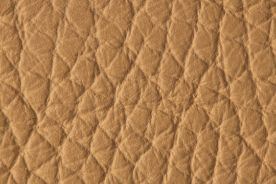 Light Brown Textured Leather Surface Background