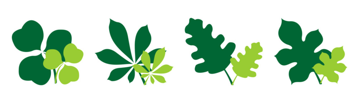 Set of four green leaf pairs including clover, chestnut, oak, and fig leaves isolated on a white background.