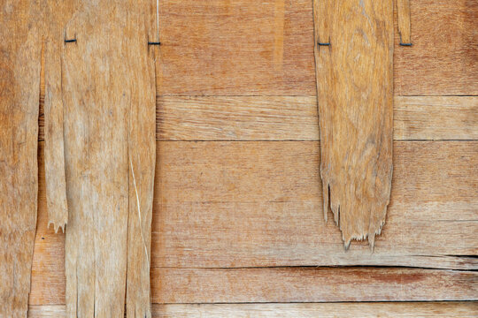Old Weathered Wooden Planks with Peeling Splinters and Staples &ndash; Rustic Grunge Wood Texture Background