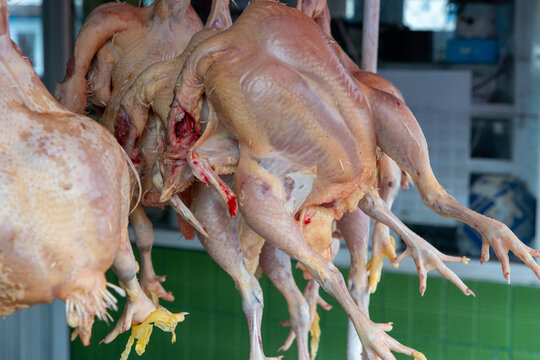 Raw Whole Chickens Hanging at a Street Vendor Market Stall &ndash; Fresh Poultry for Sale