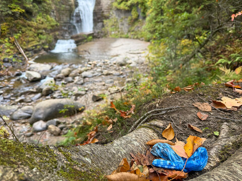 Pollution de l'environnement avec un sac de merde de chien laiss&eacute; &agrave; c&ocirc;t&eacute; d'un arbre dans la for&ecirc;t	