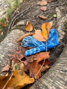 Pollution de l'environnement avec un sac de merde de chien laiss&eacute; &agrave; c&ocirc;t&eacute; d'un arbre dans la for&ecirc;t	