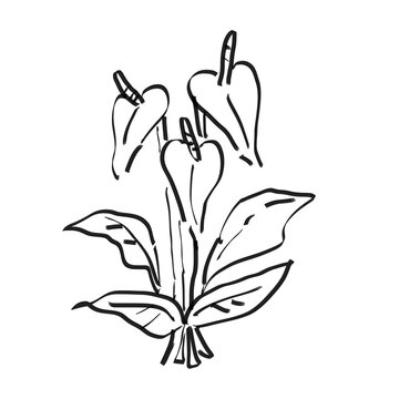 hand-drawn flower ink sketch